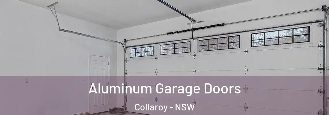  Aluminum Garage Doors Collaroy - NSW