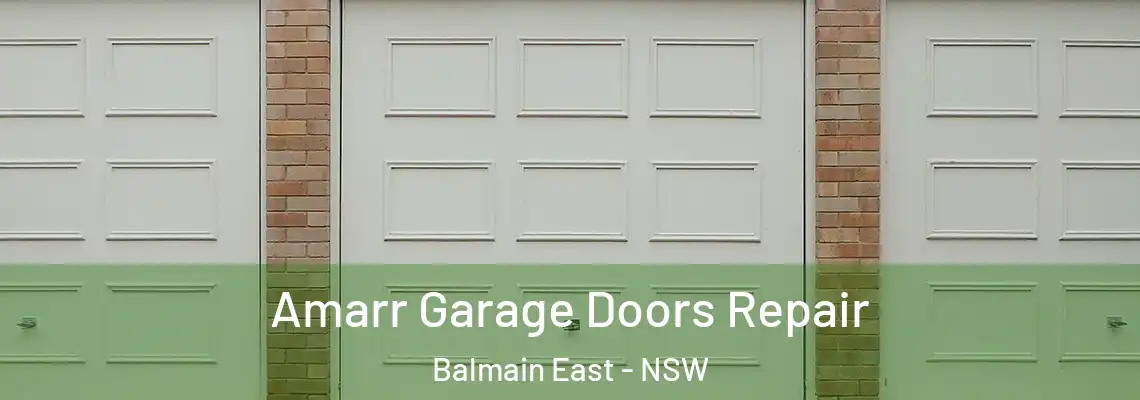  Amarr Garage Doors Repair Balmain East - NSW