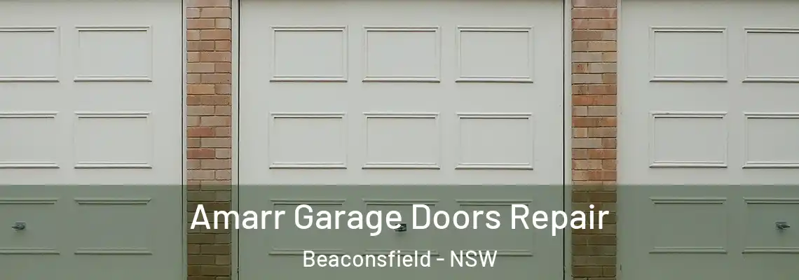  Amarr Garage Doors Repair Beaconsfield - NSW