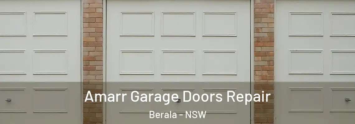  Amarr Garage Doors Repair Berala - NSW