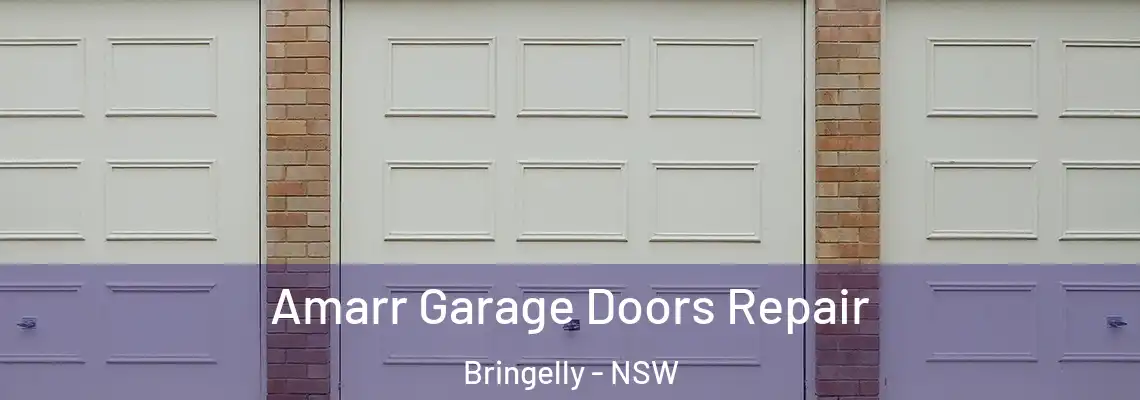  Amarr Garage Doors Repair Bringelly - NSW