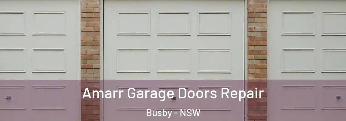  Amarr Garage Doors Repair Busby - NSW