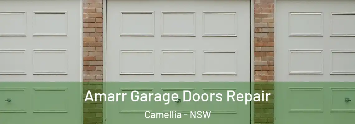  Amarr Garage Doors Repair Camellia - NSW