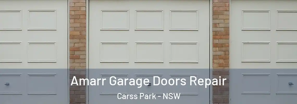  Amarr Garage Doors Repair Carss Park - NSW