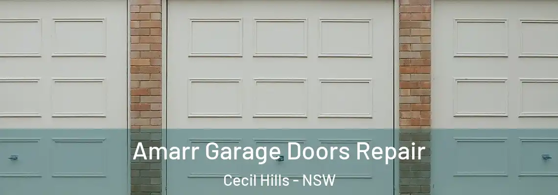  Amarr Garage Doors Repair Cecil Hills - NSW