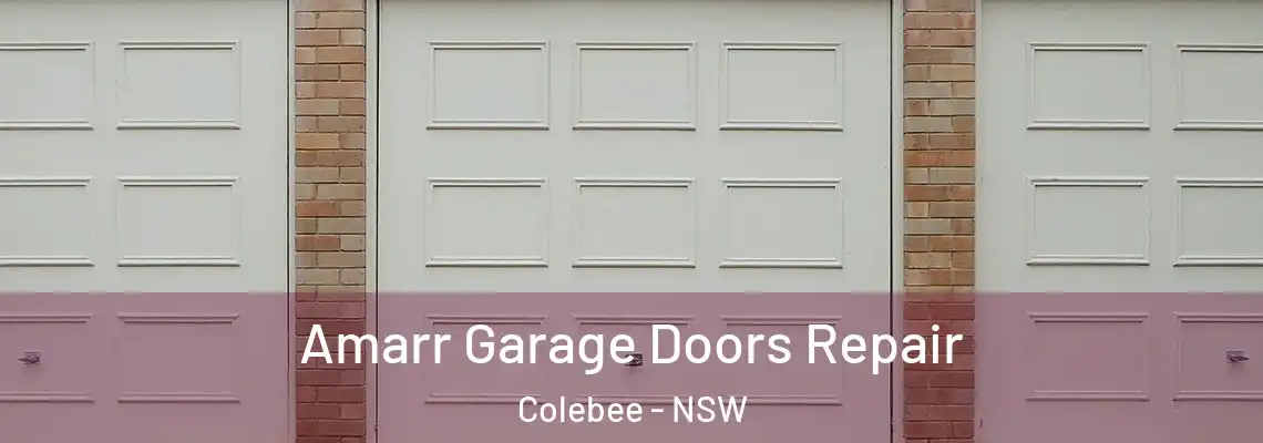  Amarr Garage Doors Repair Colebee - NSW