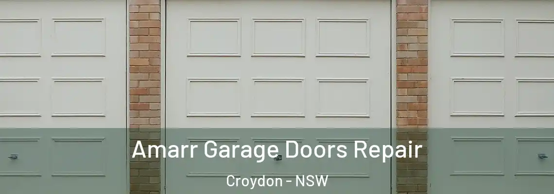  Amarr Garage Doors Repair Croydon - NSW