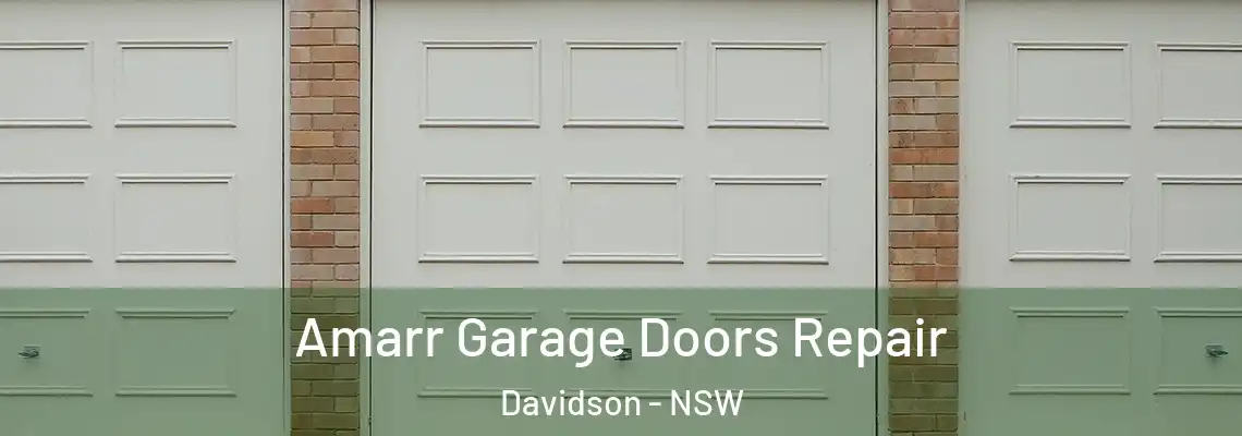  Amarr Garage Doors Repair Davidson - NSW