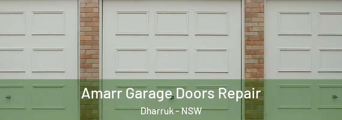  Amarr Garage Doors Repair Dharruk - NSW