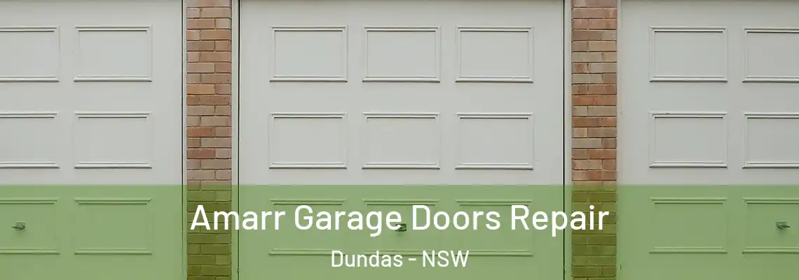  Amarr Garage Doors Repair Dundas - NSW