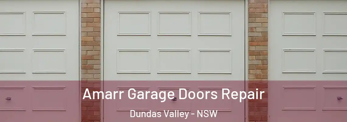  Amarr Garage Doors Repair Dundas Valley - NSW