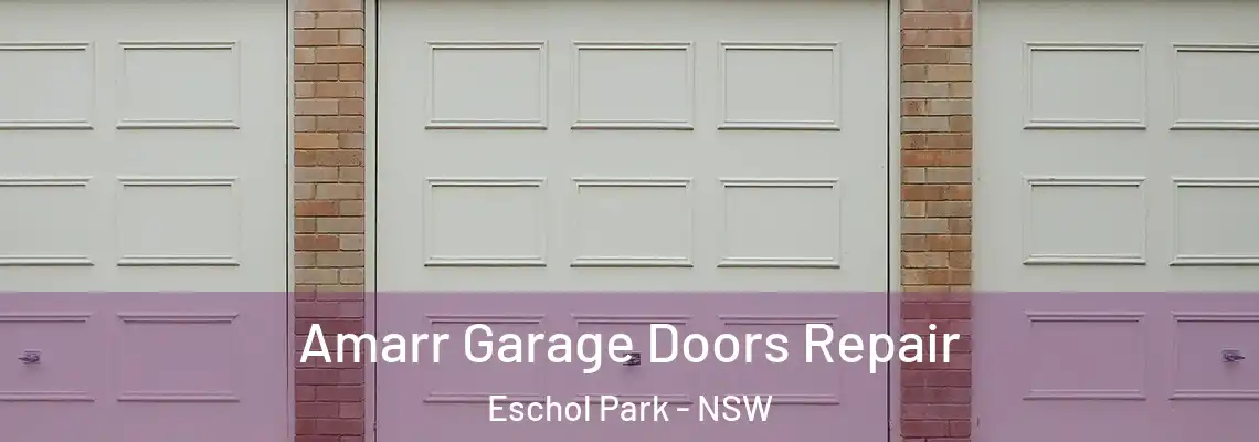  Amarr Garage Doors Repair Eschol Park - NSW