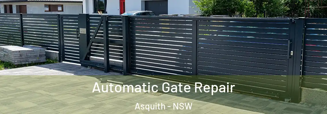  Automatic Gate Repair Asquith - NSW