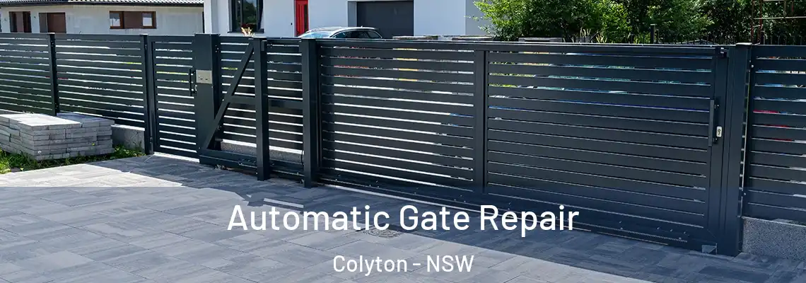  Automatic Gate Repair Colyton - NSW