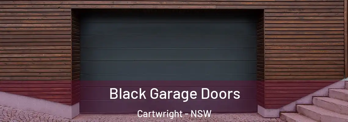  Black Garage Doors Cartwright - NSW