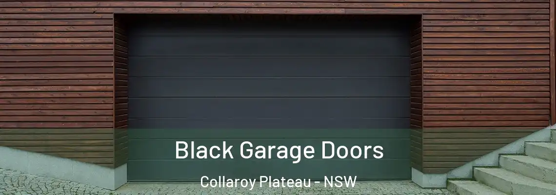  Black Garage Doors Collaroy Plateau - NSW