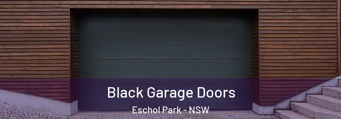  Black Garage Doors Eschol Park - NSW