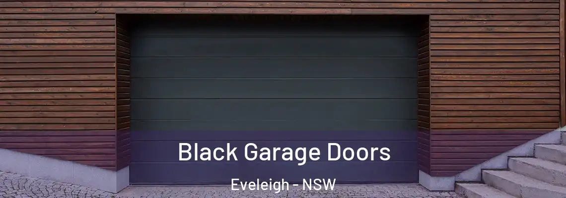 Black Garage Doors Eveleigh - NSW