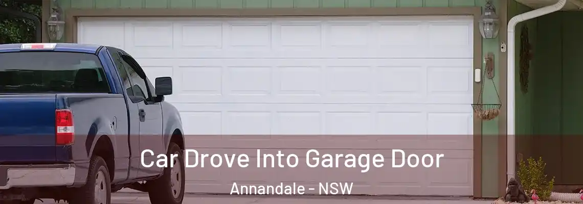  Car Drove Into Garage Door Annandale - NSW