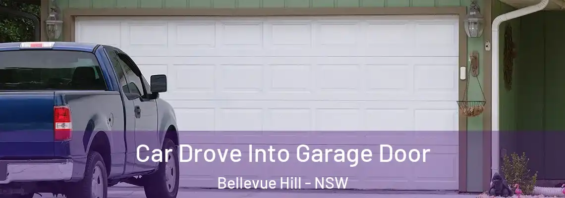  Car Drove Into Garage Door Bellevue Hill - NSW