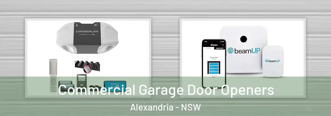  Commercial Garage Door Openers Alexandria - NSW