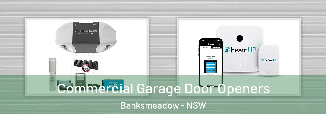  Commercial Garage Door Openers Banksmeadow - NSW