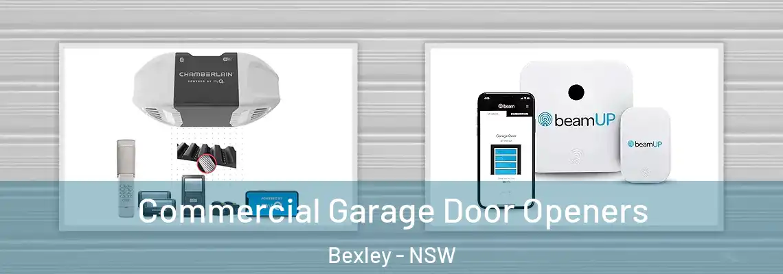  Commercial Garage Door Openers Bexley - NSW
