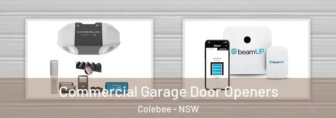  Commercial Garage Door Openers Colebee - NSW