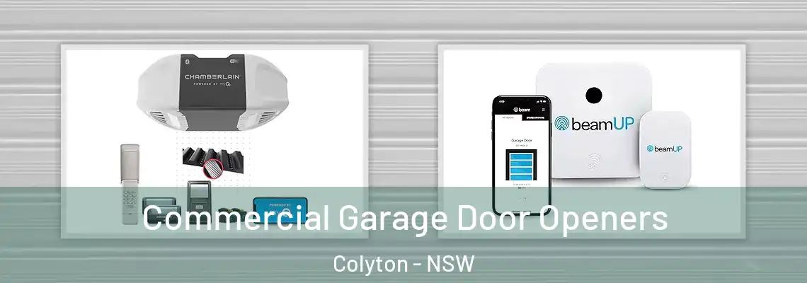  Commercial Garage Door Openers Colyton - NSW