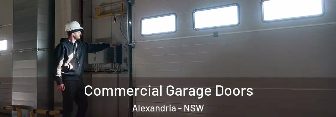  Commercial Garage Doors Alexandria - NSW