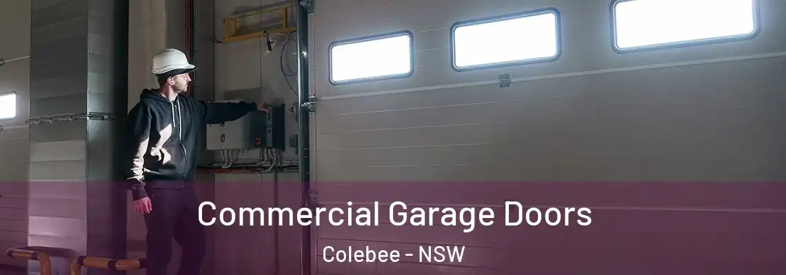  Commercial Garage Doors Colebee - NSW