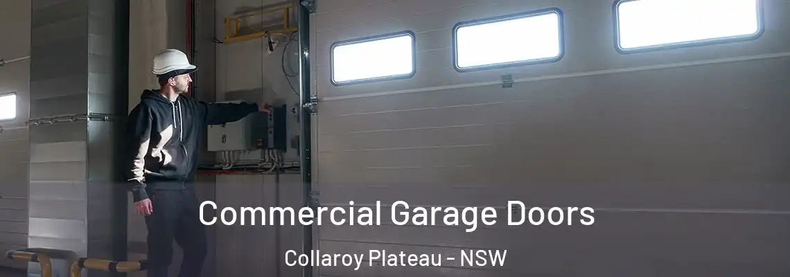  Commercial Garage Doors Collaroy Plateau - NSW