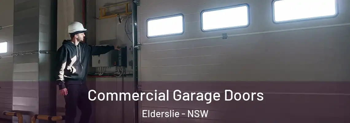  Commercial Garage Doors Elderslie - NSW