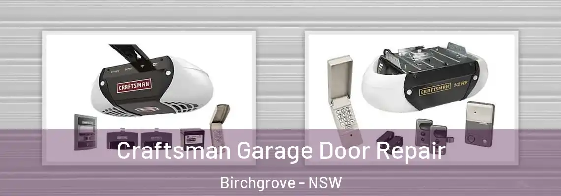  Craftsman Garage Door Repair Birchgrove - NSW