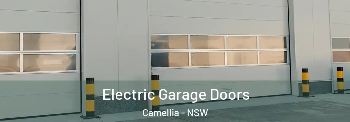  Electric Garage Doors Camellia - NSW