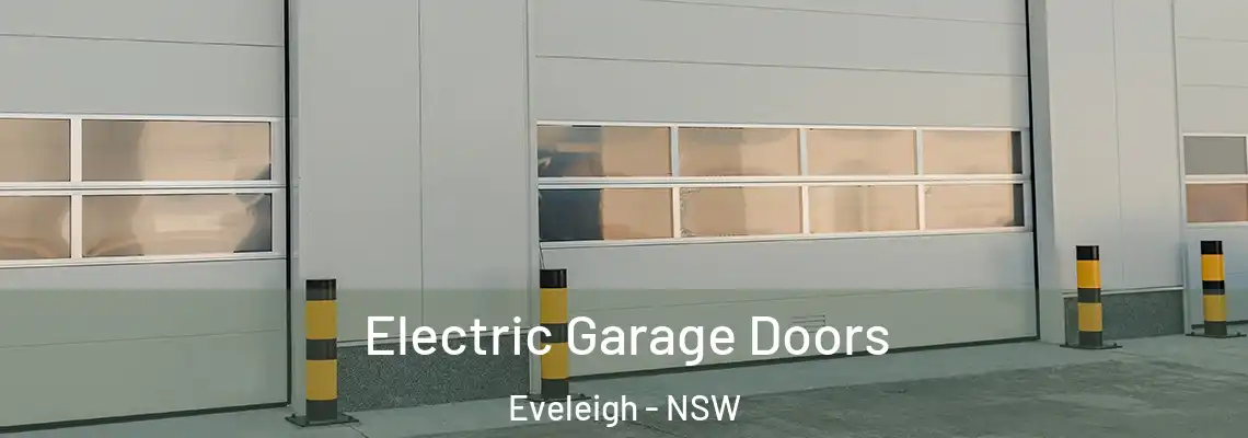 Electric Garage Doors Eveleigh - NSW