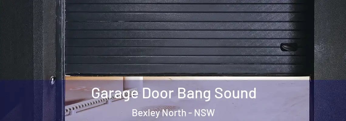  Garage Door Bang Sound Bexley North - NSW
