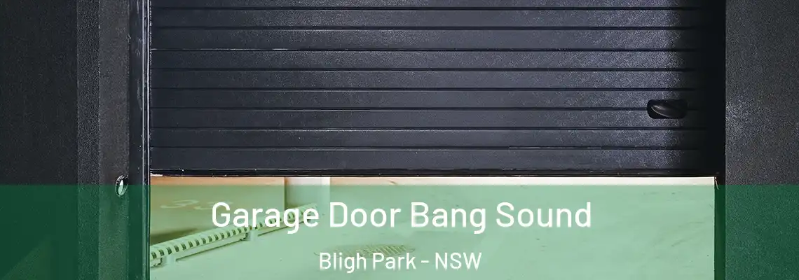  Garage Door Bang Sound Bligh Park - NSW