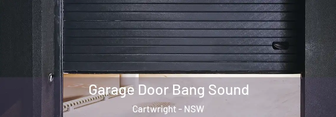  Garage Door Bang Sound Cartwright - NSW