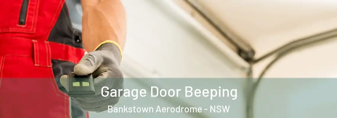  Garage Door Beeping Bankstown Aerodrome - NSW