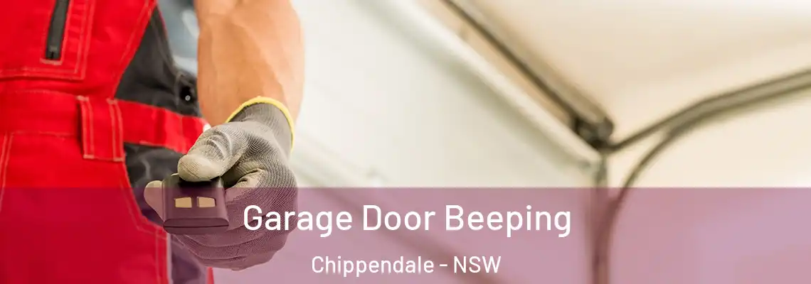  Garage Door Beeping Chippendale - NSW