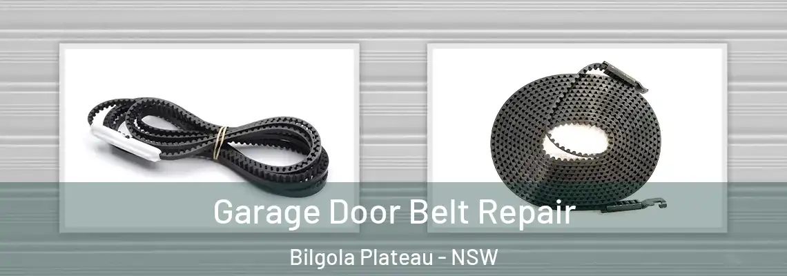  Garage Door Belt Repair Bilgola Plateau - NSW
