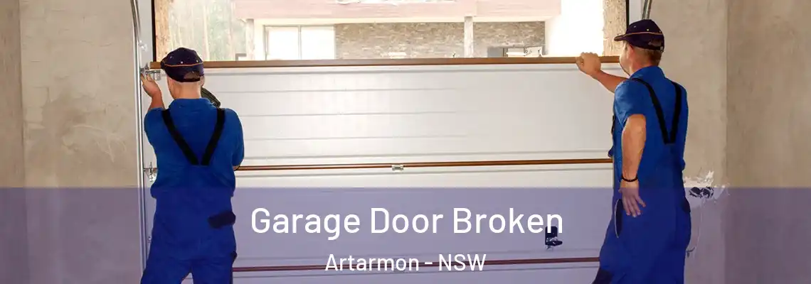 Garage Door Broken Artarmon - NSW