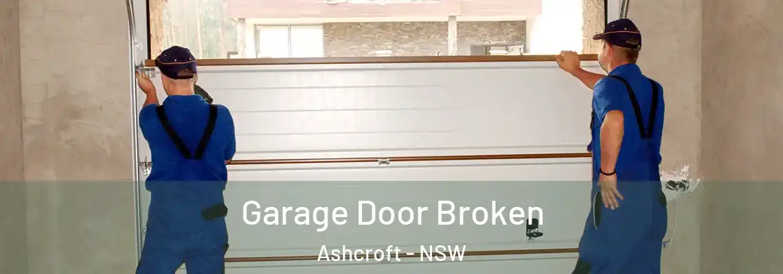  Garage Door Broken Ashcroft - NSW
