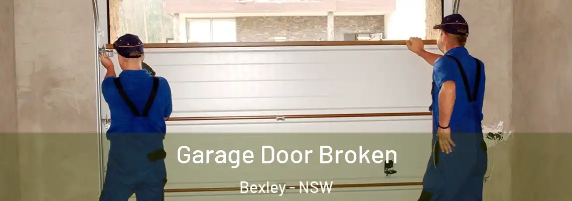  Garage Door Broken Bexley - NSW