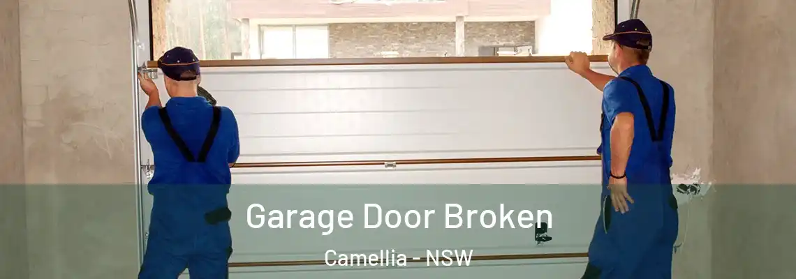  Garage Door Broken Camellia - NSW