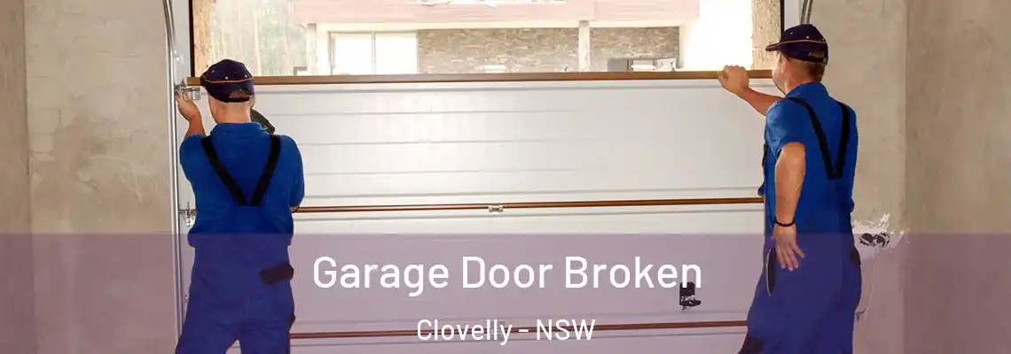  Garage Door Broken Clovelly - NSW