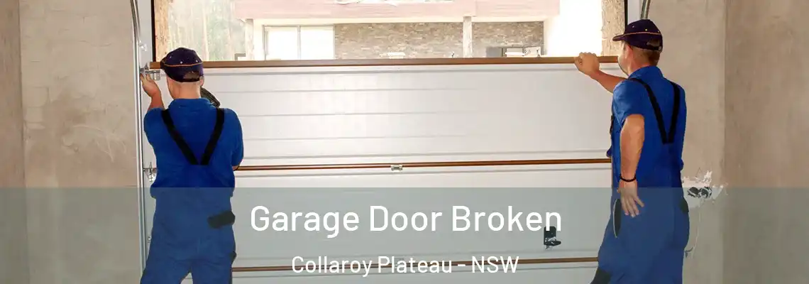  Garage Door Broken Collaroy Plateau - NSW