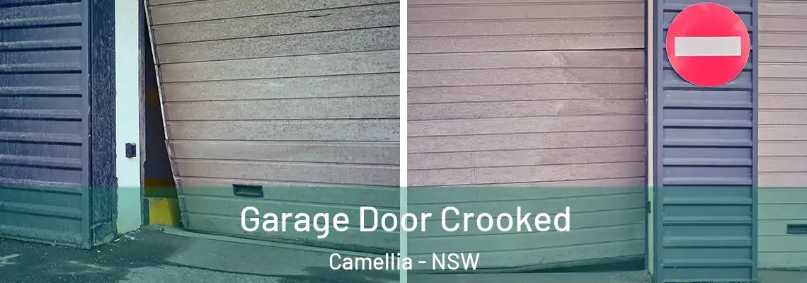  Garage Door Crooked Camellia - NSW