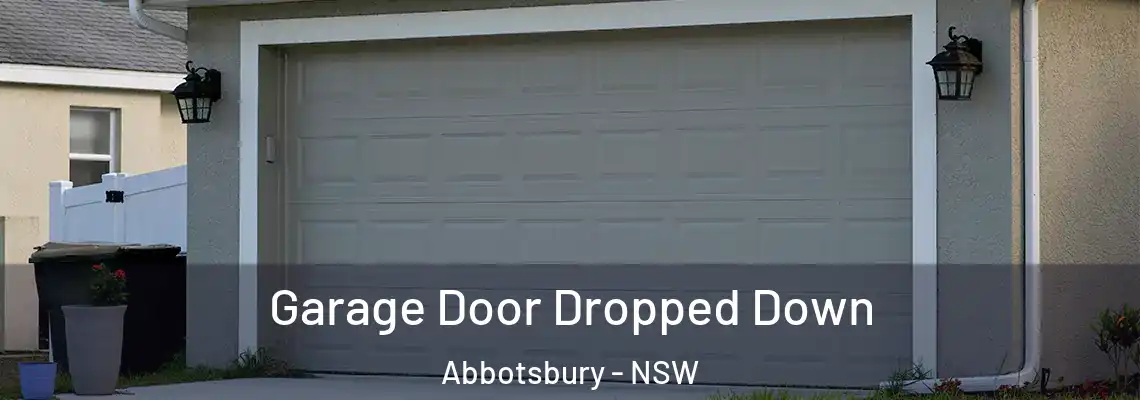  Garage Door Dropped Down Abbotsbury - NSW